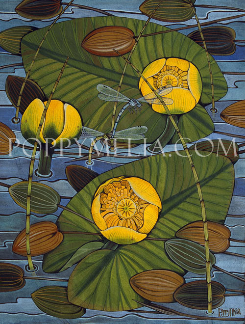 Yellow Water Lilies and DamselFlies Painting by Poppy Melia
