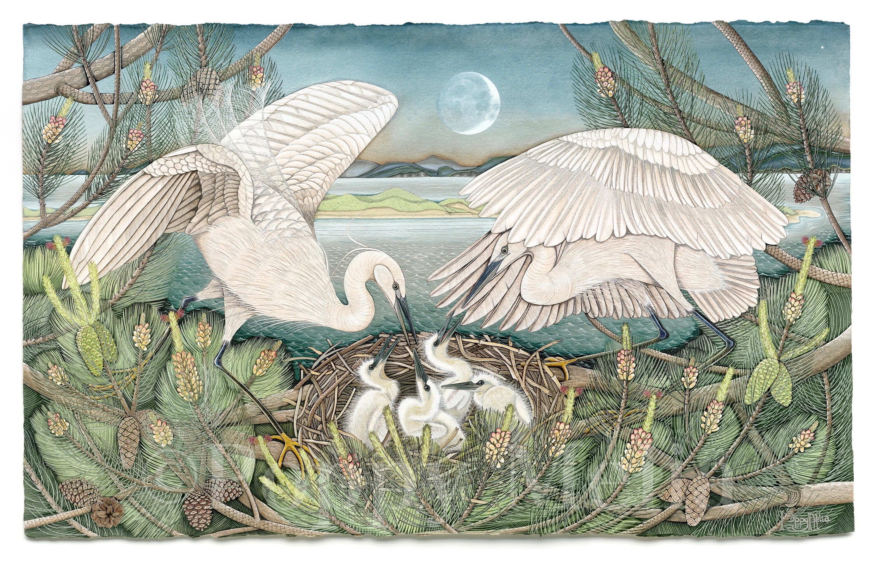 Egrets Nesting by Irish Artist Poppy Melia